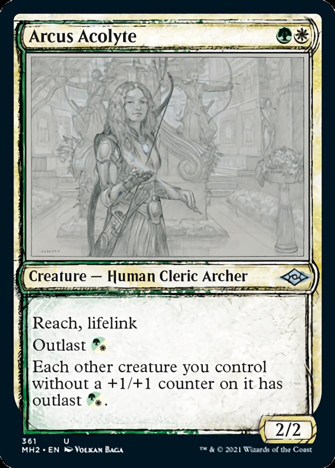 Arcus Acolyte (Sketch) [Modern Horizons 2] | Cracking-Singles