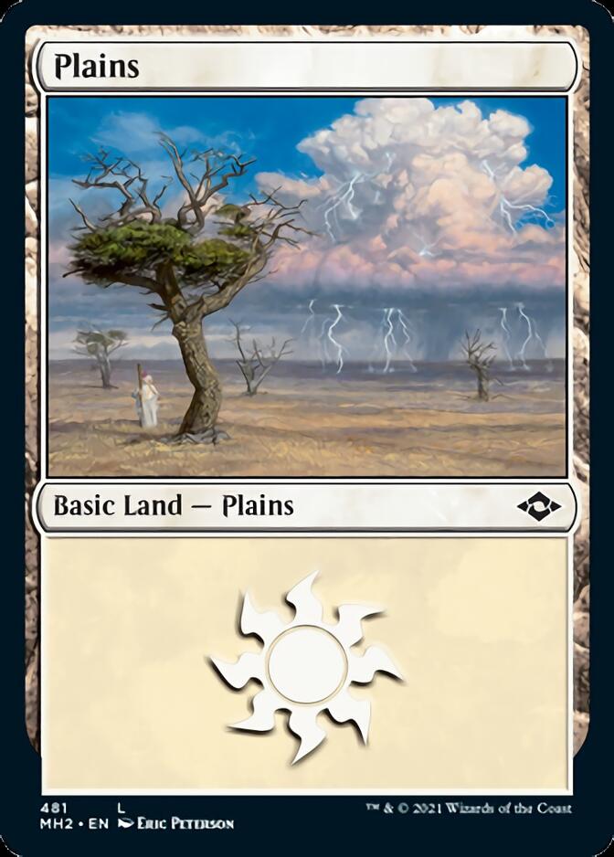 Plains (481) (Foil Etched) [Modern Horizons 2] | Cracking-Singles