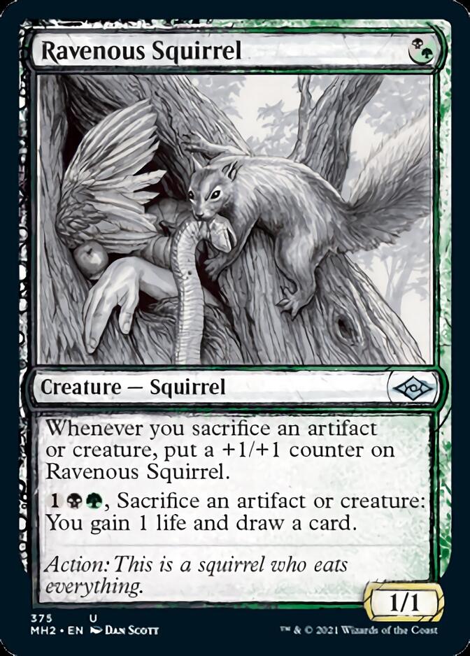 Ravenous Squirrel (Sketch) [Modern Horizons 2] | Cracking-Singles