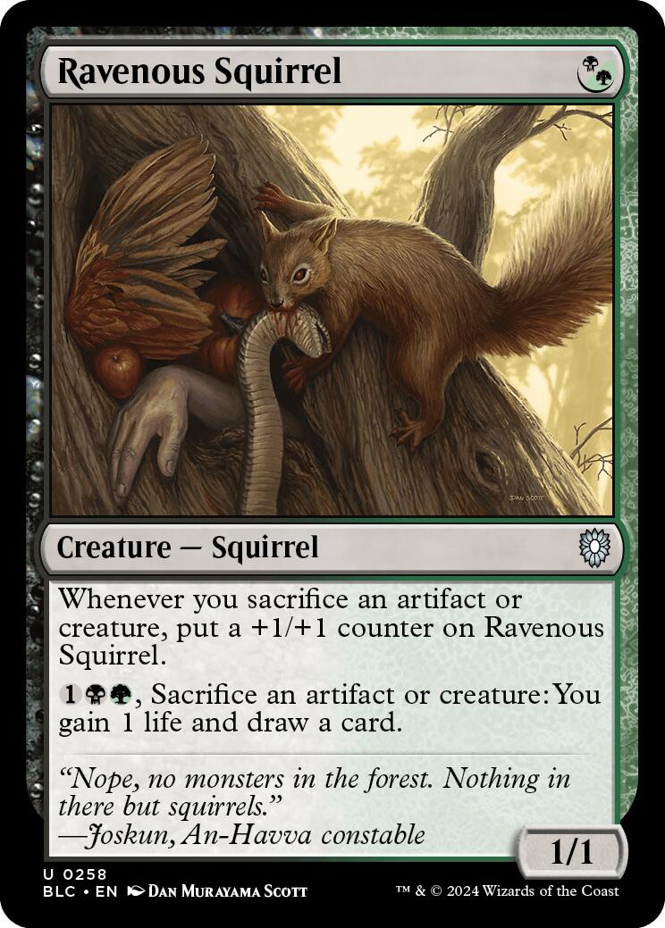 Ravenous Squirrel [Bloomburrow Commander] | Cracking-Singles