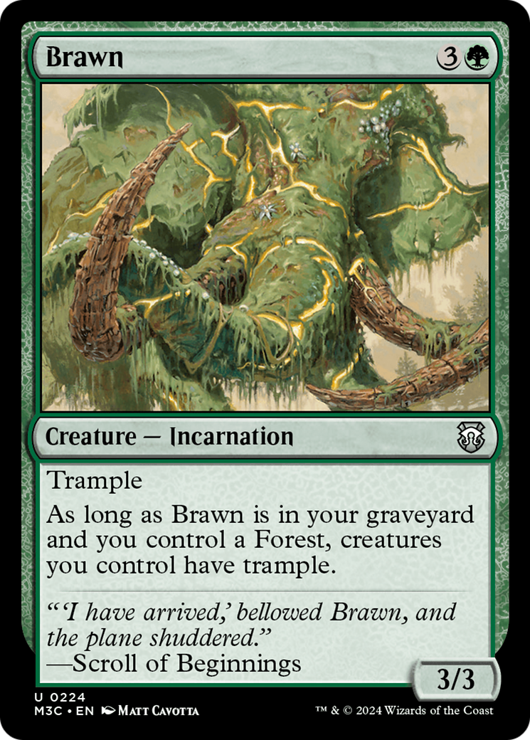 Brawn [Modern Horizons 3 Commander] | Cracking-Singles