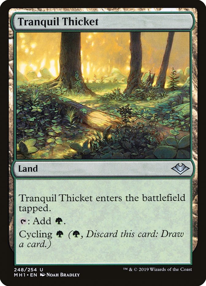 Tranquil Thicket [Modern Horizons] | Cracking-Singles