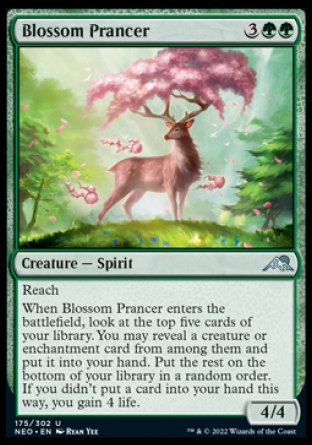 Blossom Prancer [The List] | Cracking-Singles