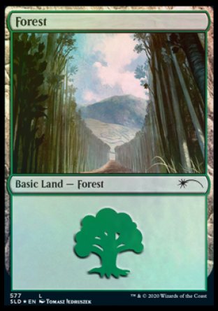 Forest (Walls) (577) [Secret Lair Drop Promos] | Cracking-Singles