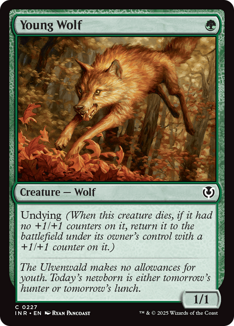 Young Wolf [Innistrad Remastered] | Cracking-Singles