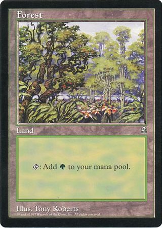 Forest (Oversized) [Oversize Cards] | Cracking-Singles