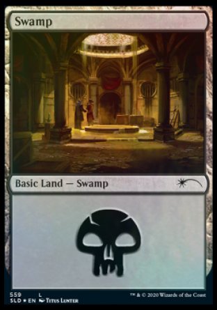 Swamp (Rogues) (559) [Secret Lair Drop Promos] | Cracking-Singles