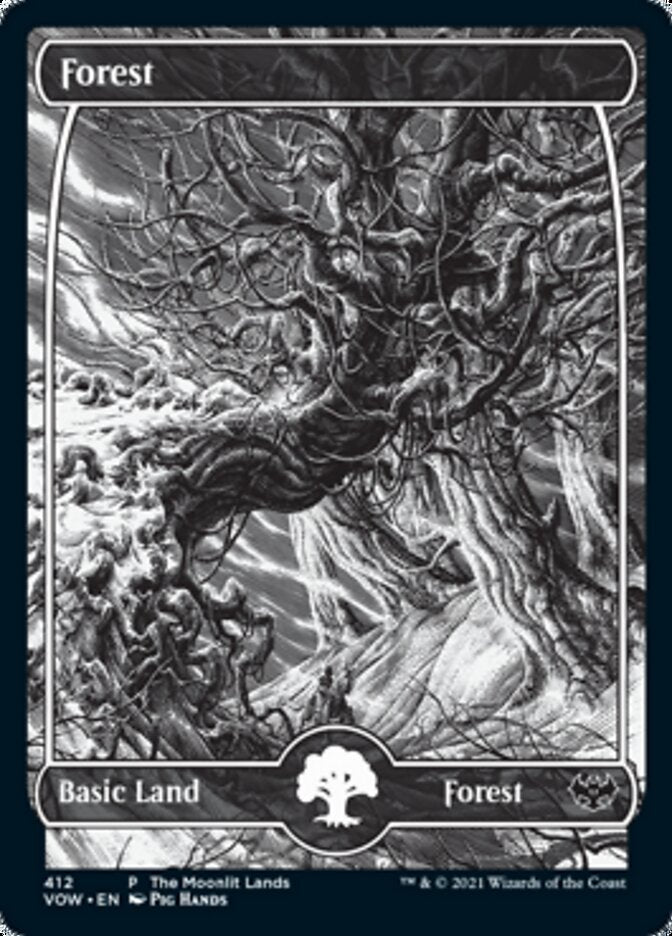 Forest (The Moonlit Lands) (Foil Etched) [Innistrad: Crimson Vow Promos] | Cracking-Singles