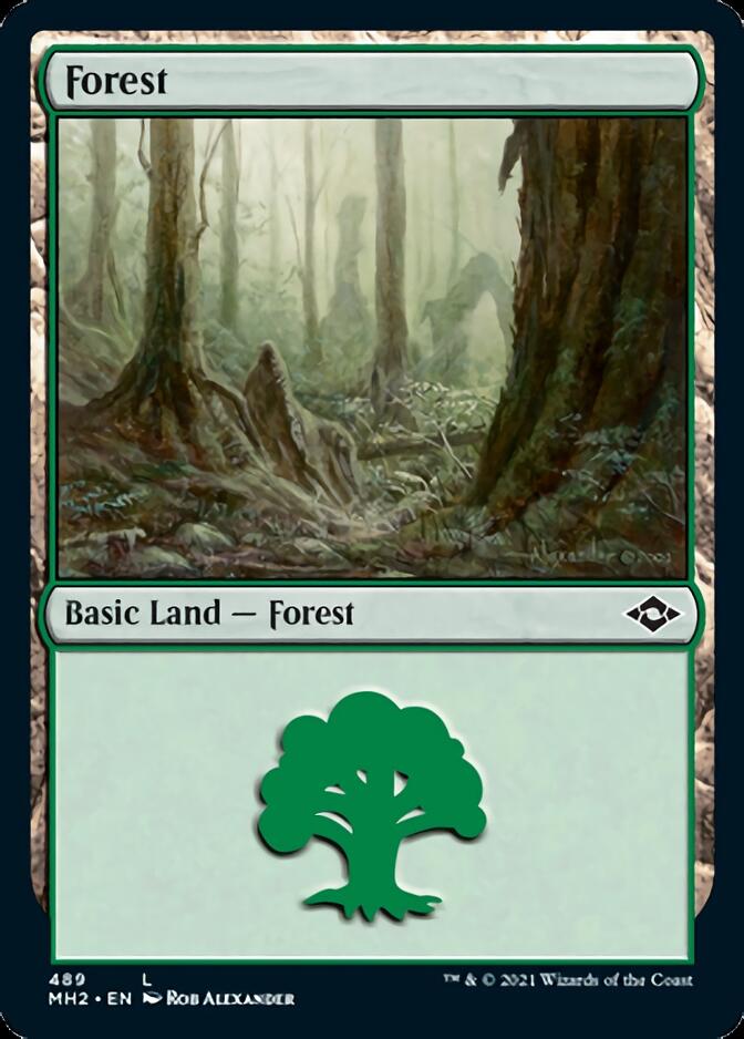 Forest (489) (Foil Etched) [Modern Horizons 2] | Cracking-Singles