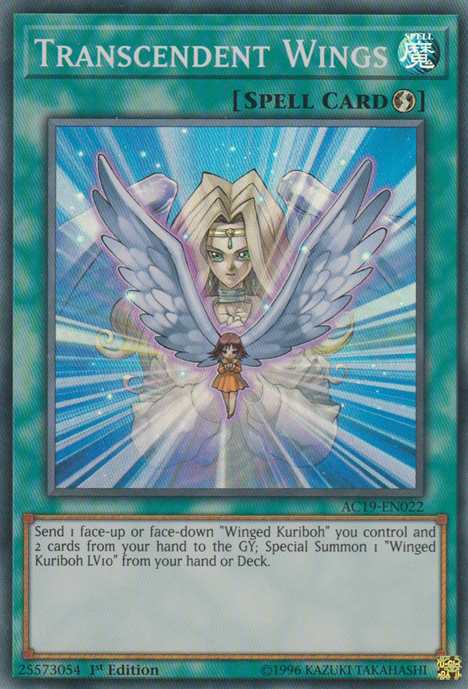 Transcendent Wings [AC19-EN022] Super Rare | Cracking-Singles