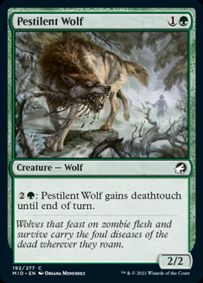 Pestilent Wolf [Innistrad: Midnight Hunt] | Cracking-Singles