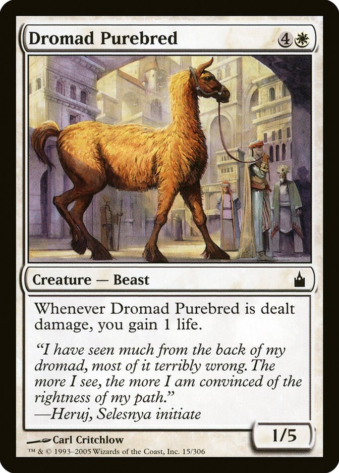 Dromad Purebred [Ravnica: City of Guilds] | Cracking-Singles