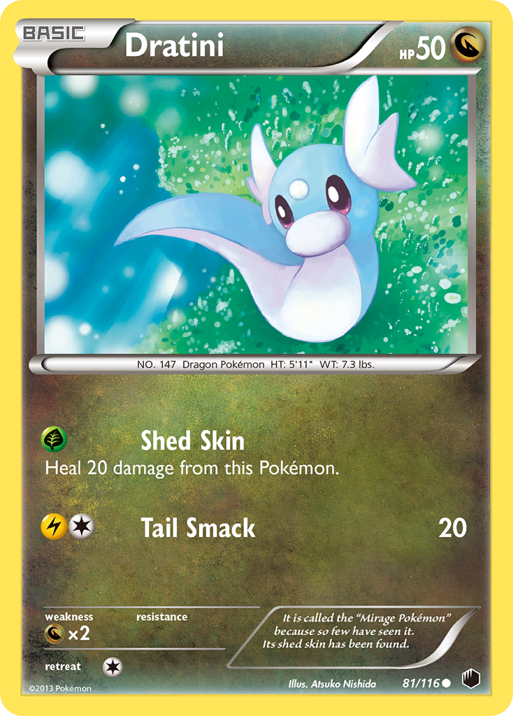 Dratini (81/116) [Black & White: Plasma Freeze] | Cracking-Singles