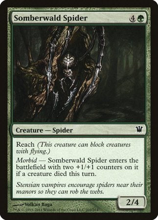 Somberwald Spider [Innistrad] | Cracking-Singles