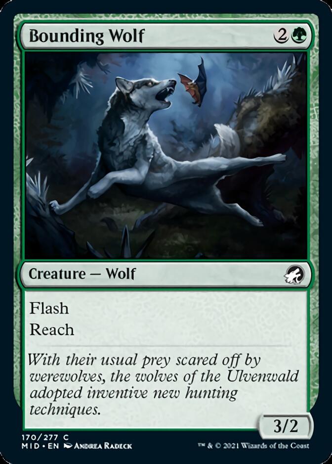 Bounding Wolf [Innistrad: Midnight Hunt] | Cracking-Singles