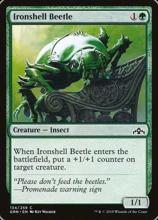 Ironshell Beetle [Guilds of Ravnica] | Cracking-Singles