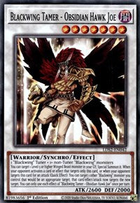 Blackwing Tamer - Obsidian Hawk Joe [LDS2-EN042] Common | Cracking-Singles