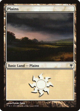 Plains (40) [Duel Decks: Sorin vs. Tibalt] | Cracking-Singles