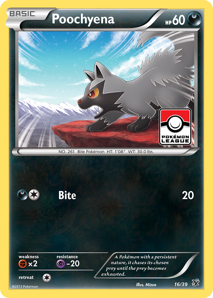 Poochyena (16/39) [XY: Kalos Starter Set] | Cracking-Singles