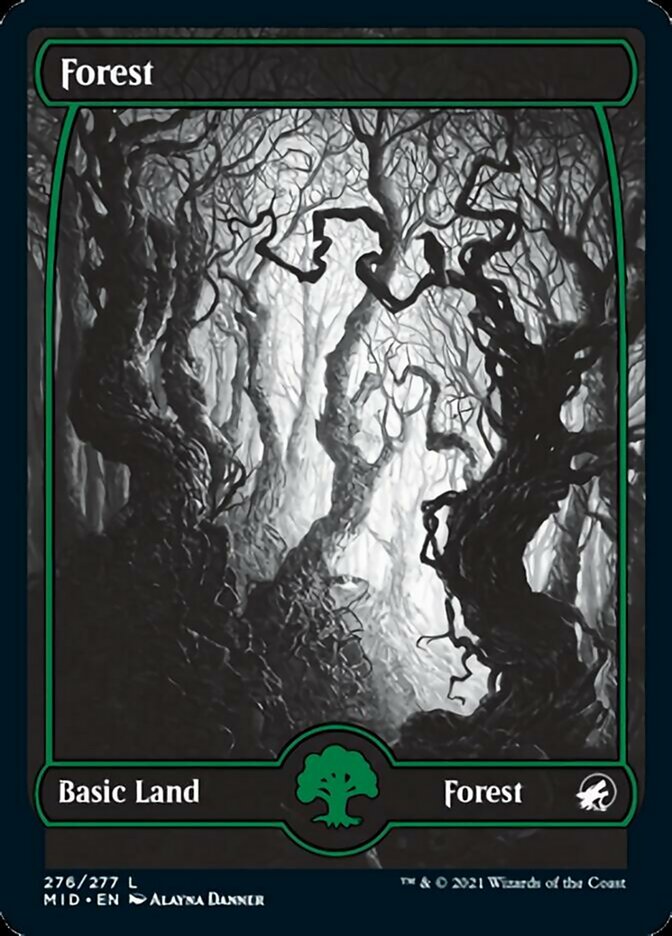 Forest (276) [Innistrad: Midnight Hunt] | Cracking-Singles