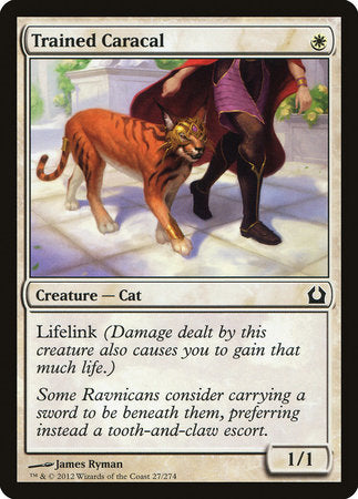 Trained Caracal [Return to Ravnica] | Cracking-Singles