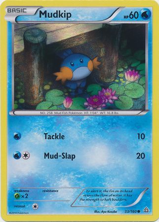 Mudkip (33/160) (Sheen Holo) [XY: Primal Clash] | Cracking-Singles