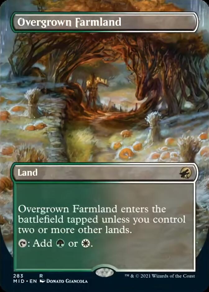 Overgrown Farmland (Borderless) [Innistrad: Midnight Hunt] | Cracking-Singles