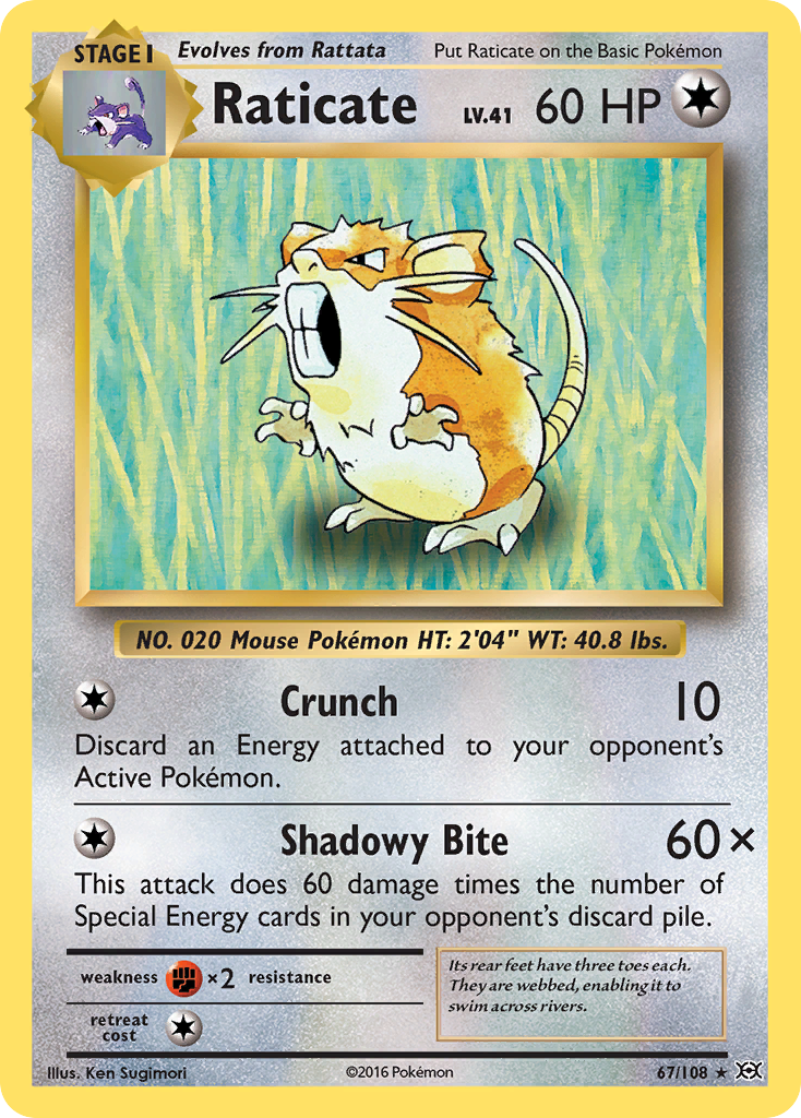 Raticate (67/108) [XY: Evolutions] | Cracking-Singles