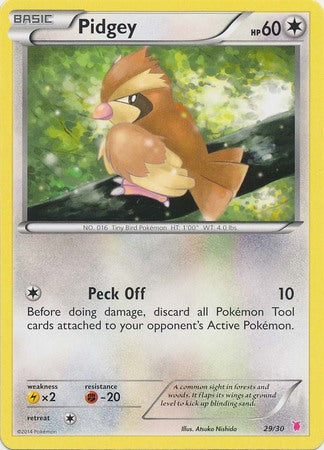 Pidgey (29/30) [XY: Trainer Kit 1 - Wigglytuff] | Cracking-Singles