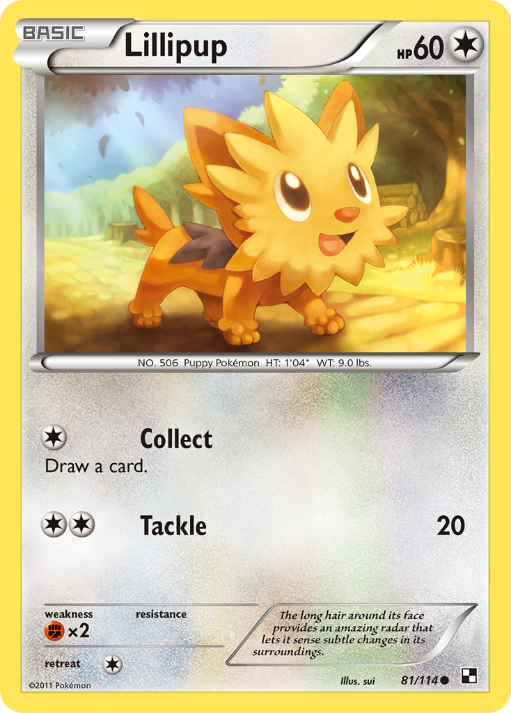 Lillipup (81/114) [Black & White: Base Set] | Cracking-Singles