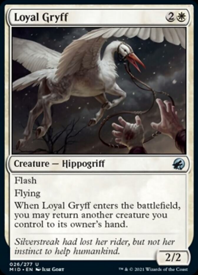 Loyal Gryff [Innistrad: Midnight Hunt] | Cracking-Singles