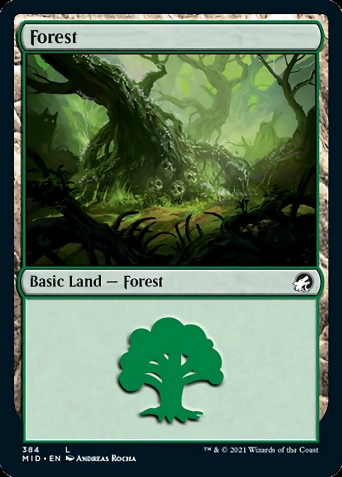 Forest (384) [Innistrad: Midnight Hunt] | Cracking-Singles