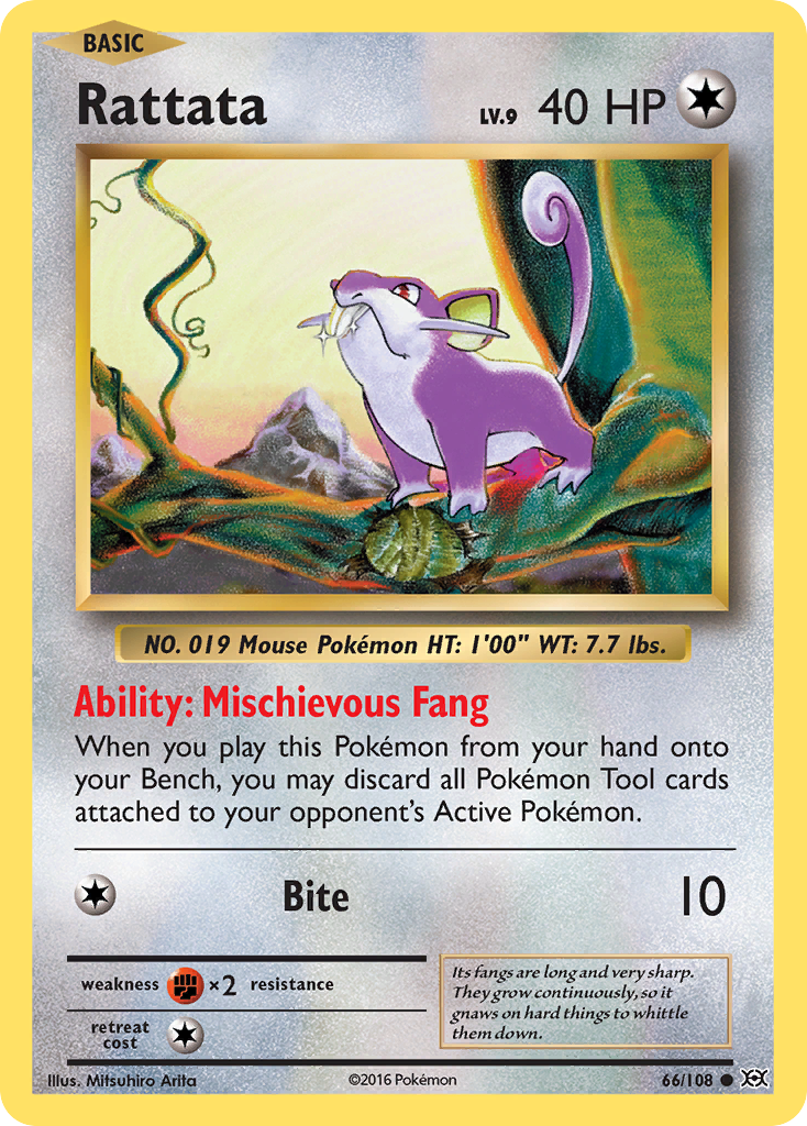 Rattata (66/108) [XY: Evolutions] | Cracking-Singles