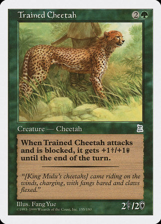 Trained Cheetah [Portal Three Kingdoms] | Cracking-Singles