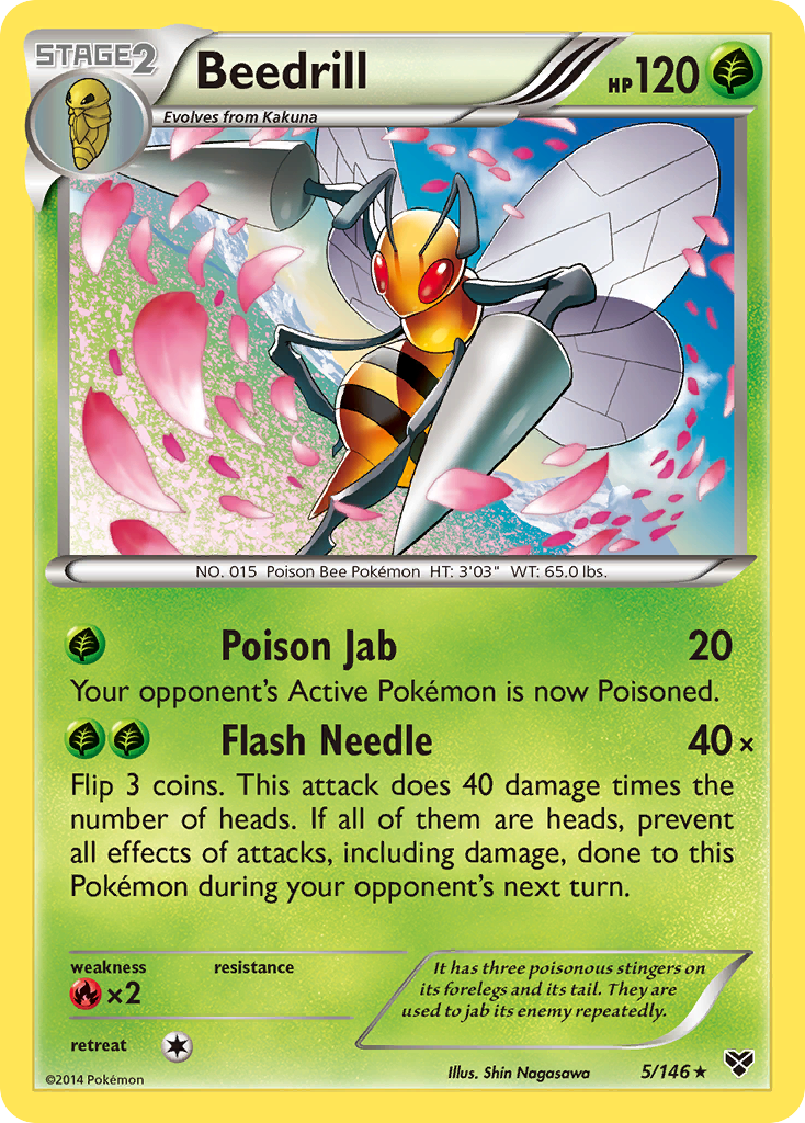 Beedrill (5/146) [XY: Base Set] | Cracking-Singles