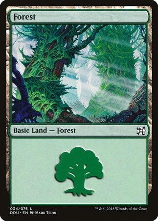 Forest (34) [Duel Decks: Elves vs. Inventors] | Cracking-Singles