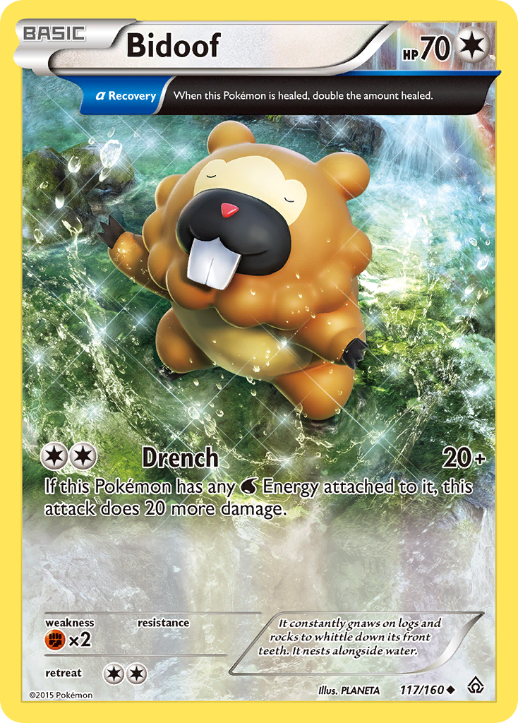 Bidoof (117/160) [XY: Primal Clash] | Cracking-Singles