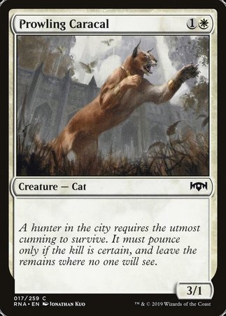 Prowling Caracal [Ravnica Allegiance] | Cracking-Singles