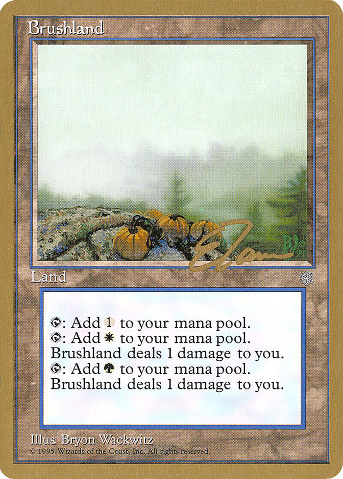 Brushland (Eric Tam) [Pro Tour Collector Set] | Cracking-Singles