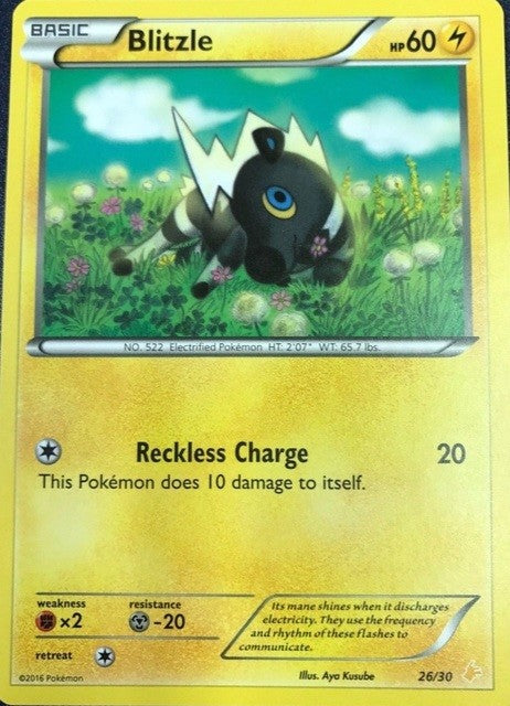 Blitzle (26/30) [XY: Trainer Kit 3 - Pikachu Libre] | Cracking-Singles