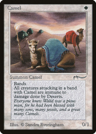 Camel [Arabian Nights] | Cracking-Singles