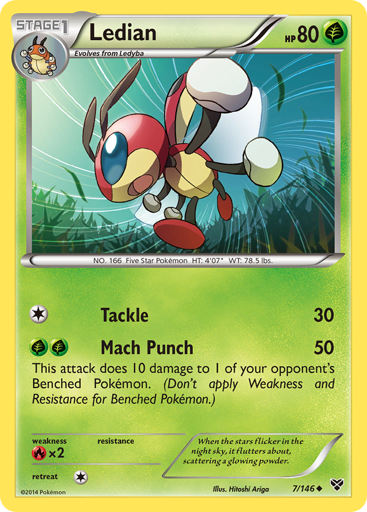 Ledian (7/146) [XY: Base Set] | Cracking-Singles