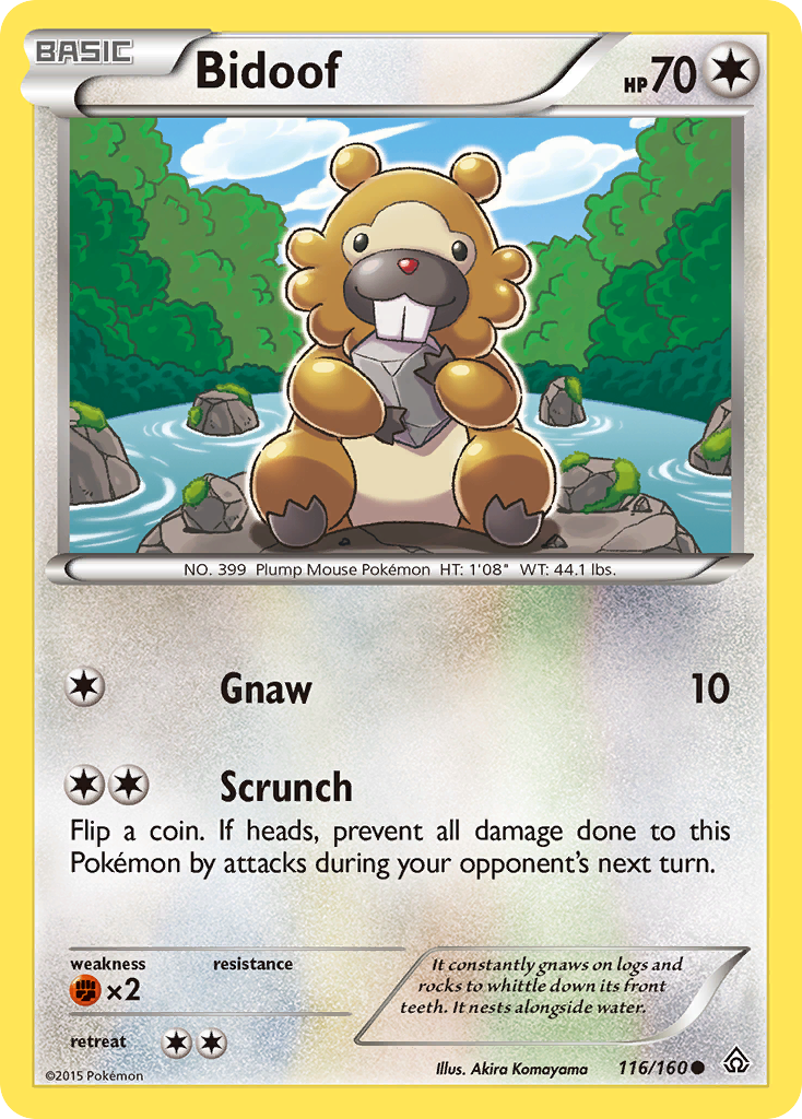 Bidoof (116/160) [XY: Primal Clash] | Cracking-Singles